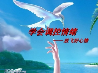 学会调控情绪课件