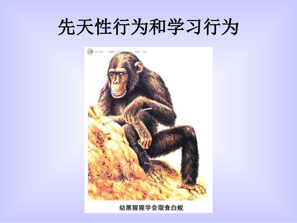 八年级生物先天性行为和学习行为_第1页