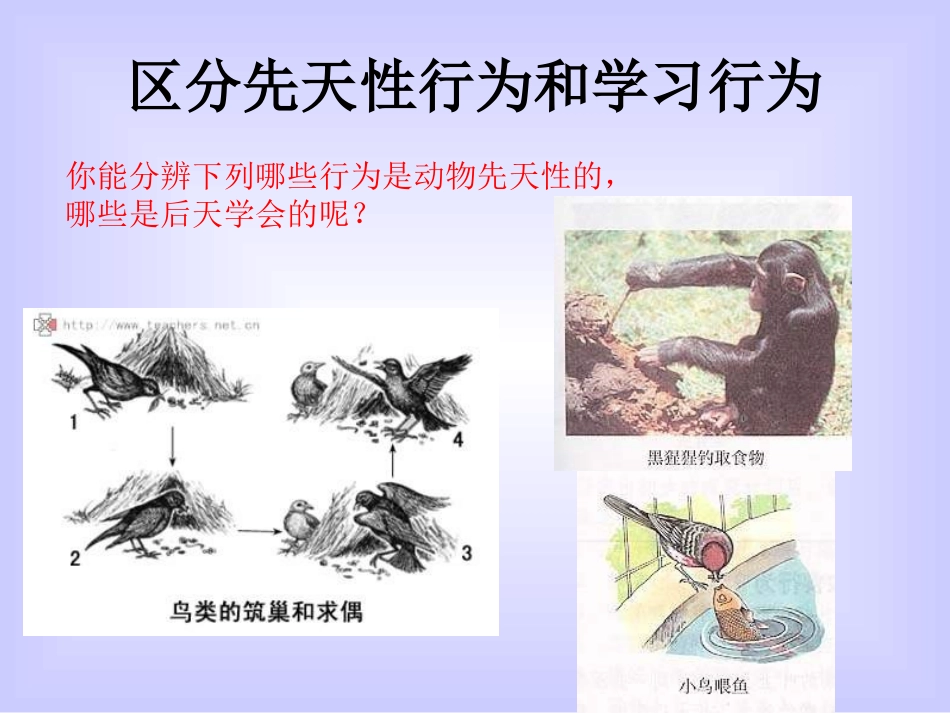 八年级生物先天性行为和学习行为_第2页