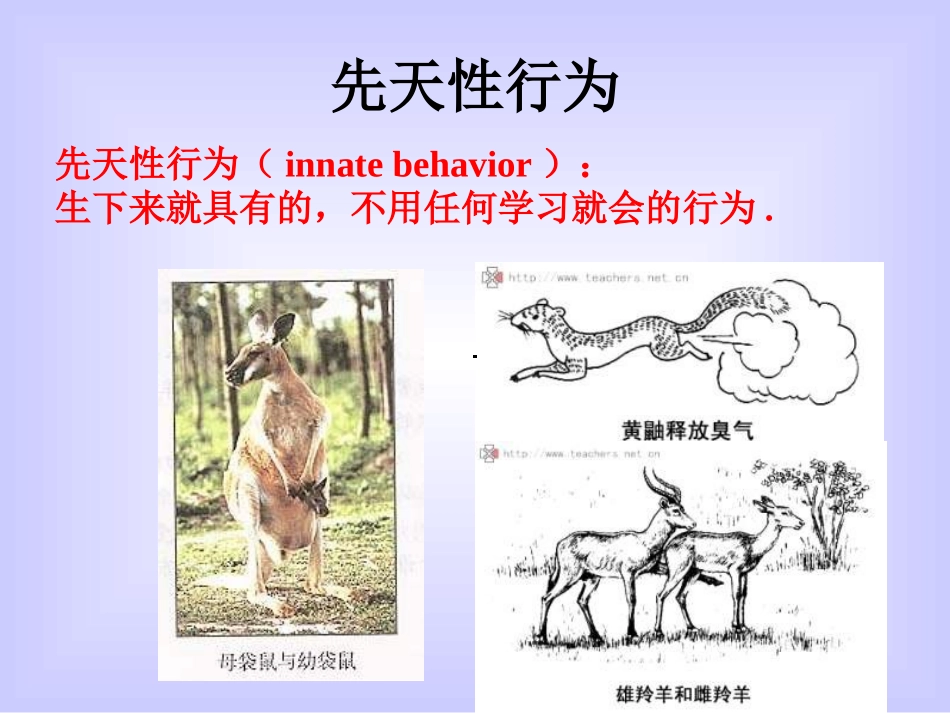 八年级生物先天性行为和学习行为_第3页