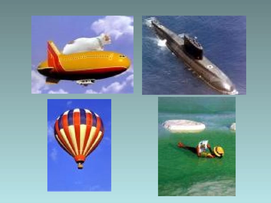 物体的浮沉的条件_第2页