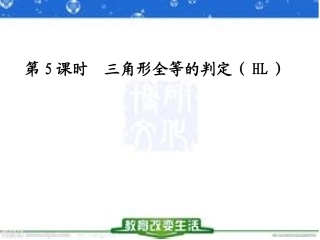 第五课时全等三角形HL