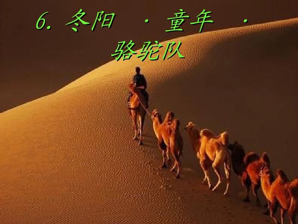 《冬阳童年骆驼队》教学课件_第3页