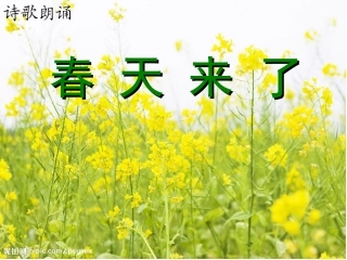 语言活动《春天来了》