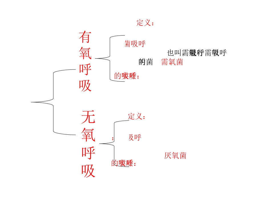 第五节人类对细菌和真菌的利用课件(人教版八年级上)_第3页