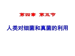 第五节人类对细菌和真菌的利用课件(人教版八年级上)