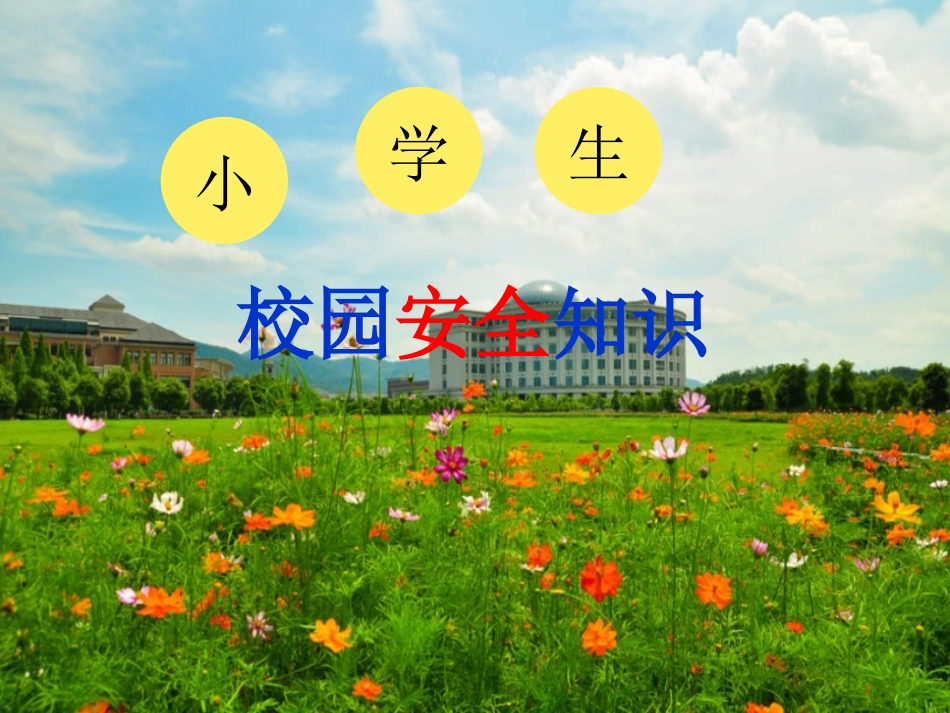 我的安全我关注_第3页