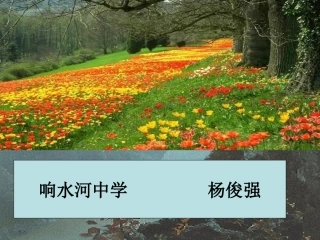 山西省浮山县杨俊强《斑羚飞渡》