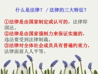 第五单元第一节法律伴我们健康成长