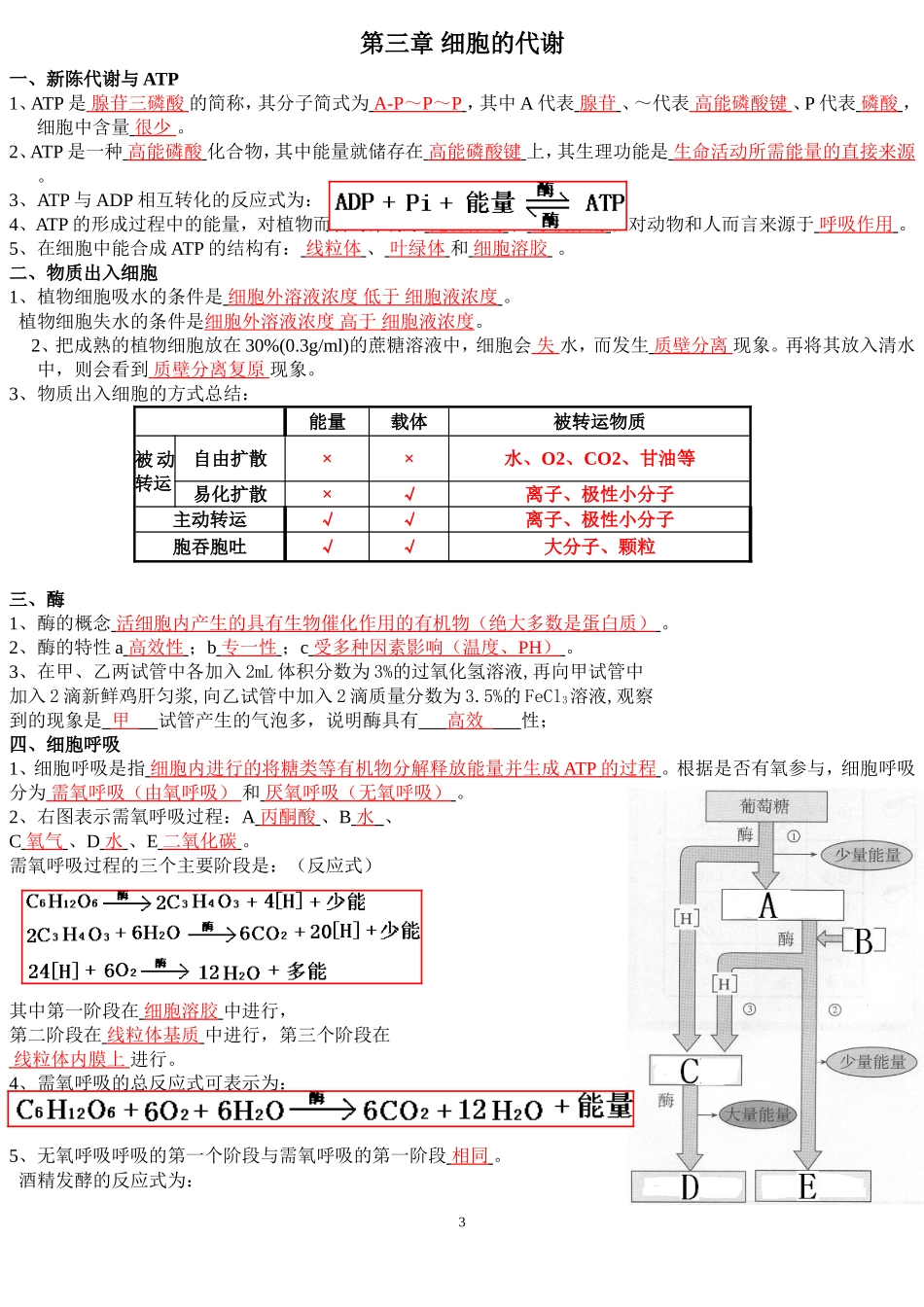 高中必修一生物复习提纲_第3页