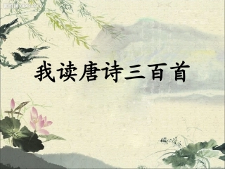 我读唐诗三百首