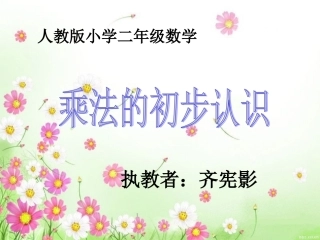 乘法的初步认识有答案