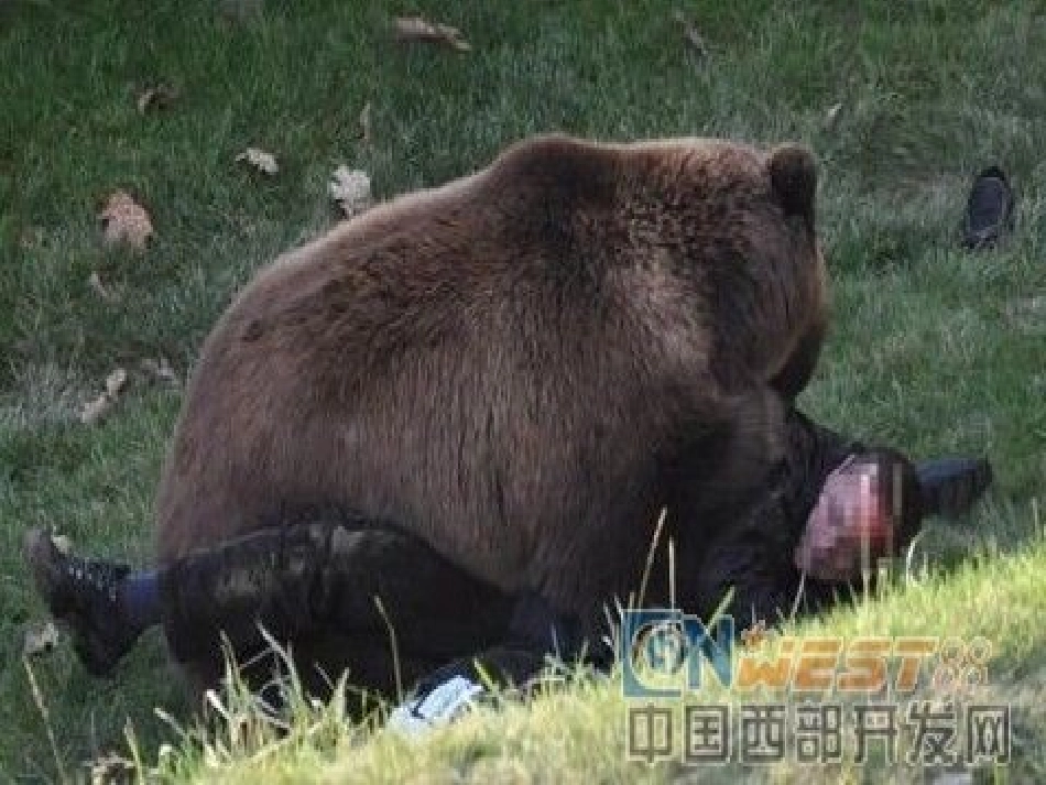 (教科版)二年级语文上册课件_熊说什么了_第2页