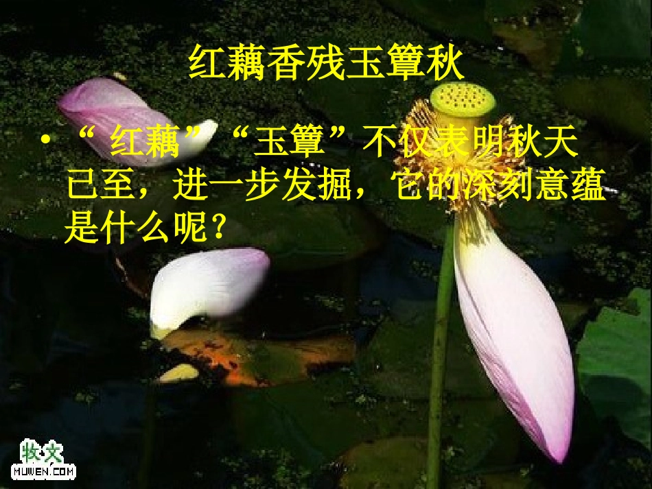 《一剪梅_李清照》课件_第3页