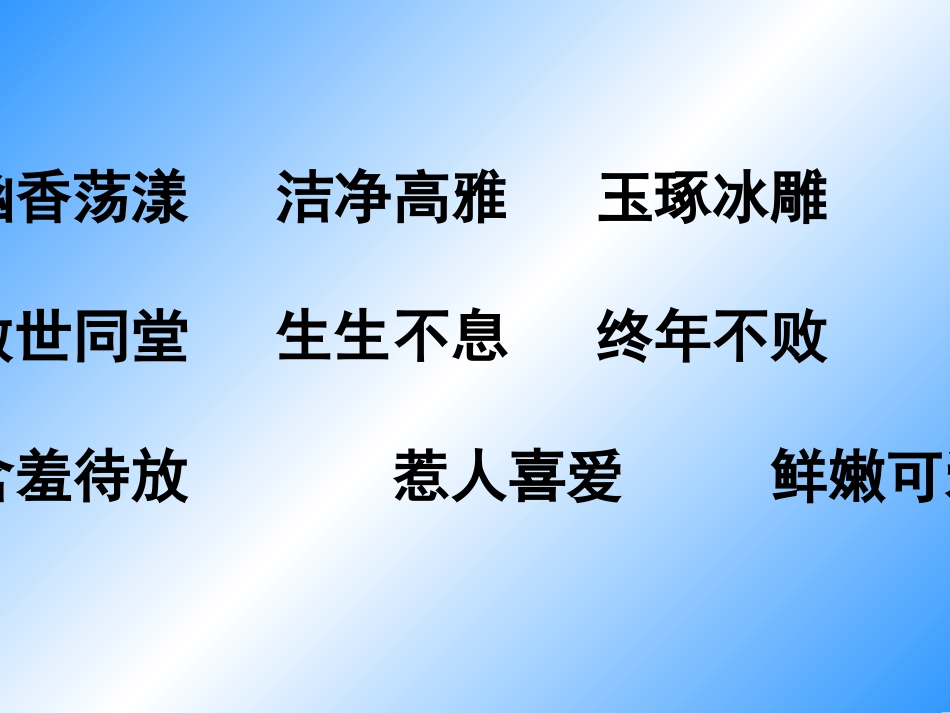 公开课《广玉兰》PPT课件_第2页
