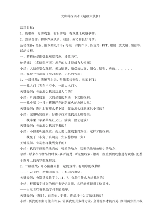 大班科探活动《超级大侦探》