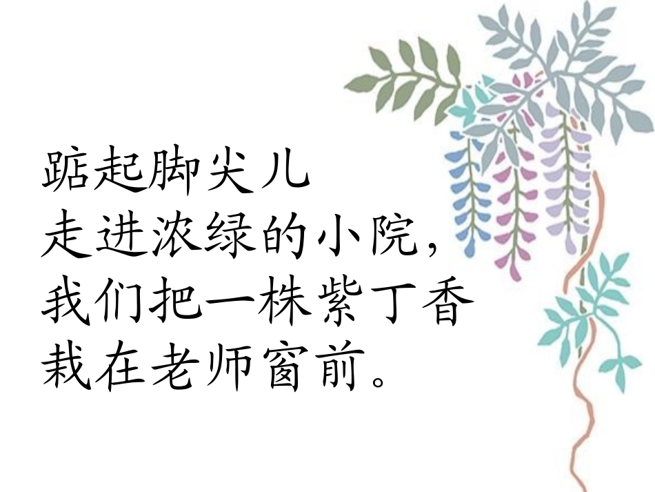 《一株紫丁香》课件_第3页