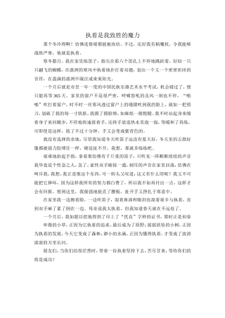 执着是我致胜的魔力