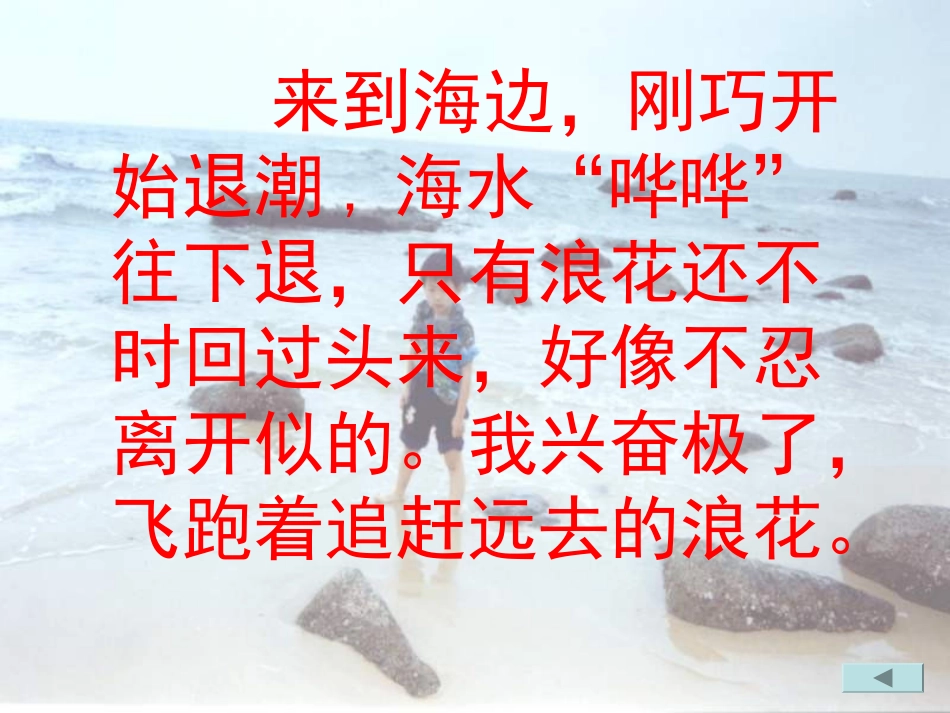 苏教版三年级下册《赶海》PPT课件_第3页