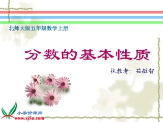 北师大版数学《分数的基本性质》课件