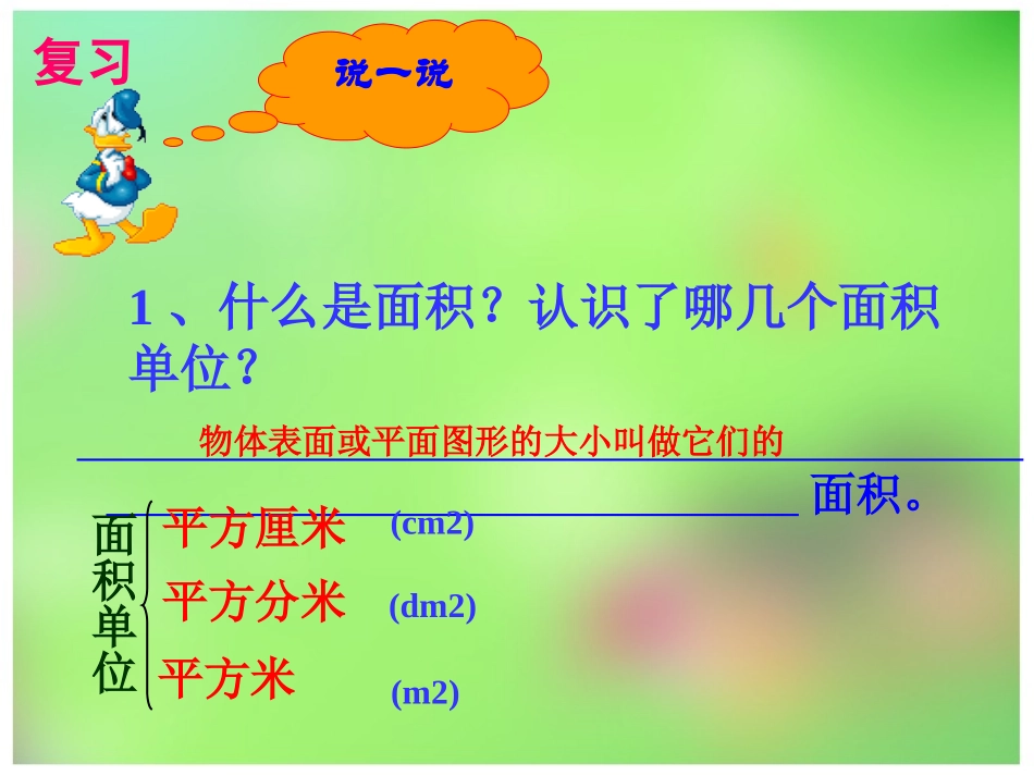 长方形面积的计算(蒋世建）_第2页