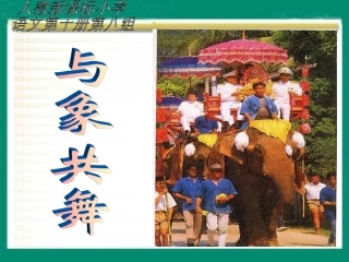 与象共舞课件