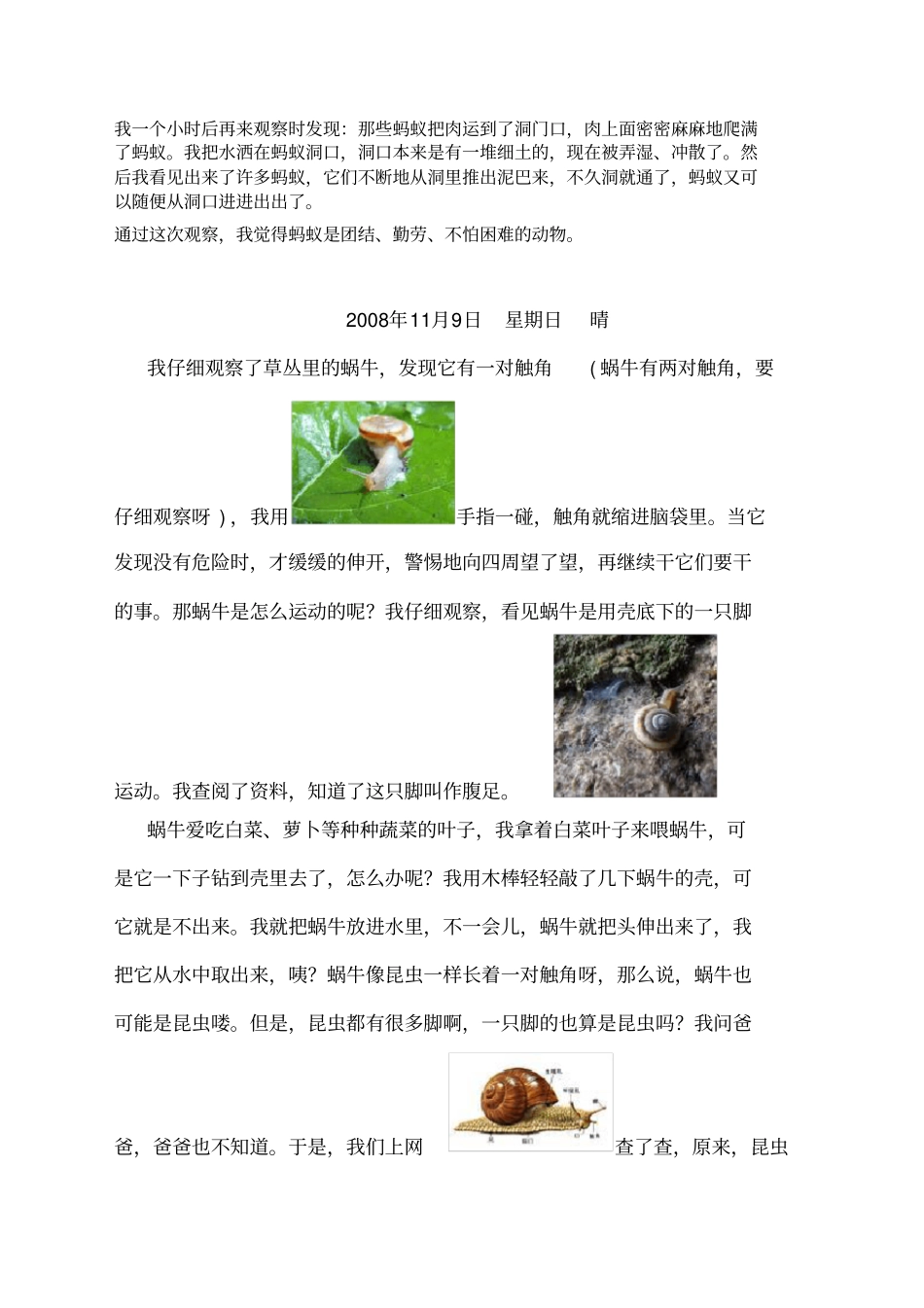 三年级怎样写观察日记_第2页