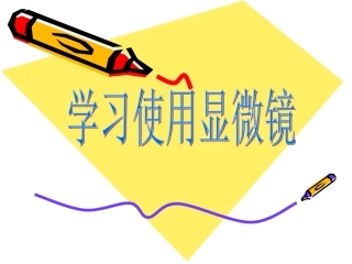 科学探究的基本方法——学习使用显微镜