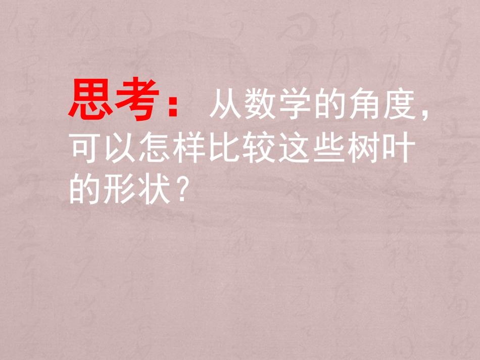 树叶中的比课件_第2页