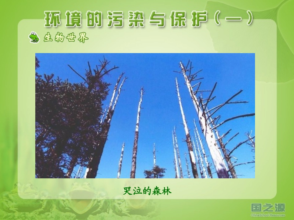 环境的污染与保护(一)_第3页