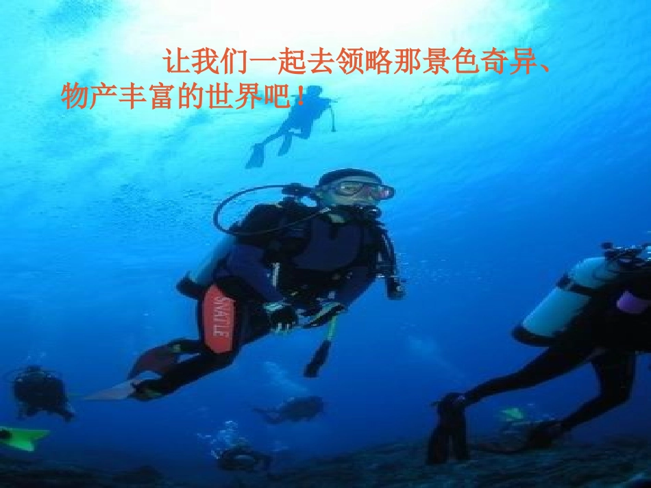 海底世界课件_第2页