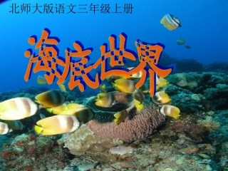 海底世界课件
