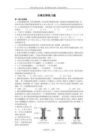 分离定律练习题