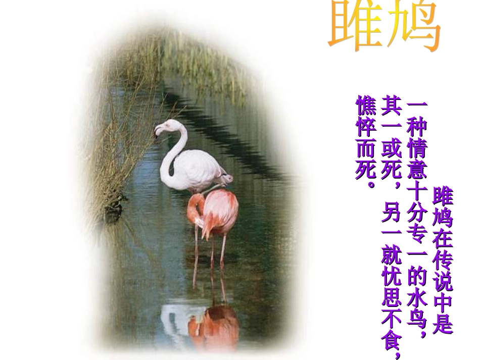 《诗经》二首定稿_第3页
