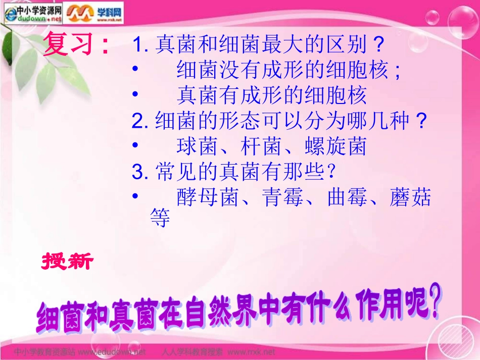 人教版生物八上第一节《细菌和真菌在自然界中的作用》课件_第3页