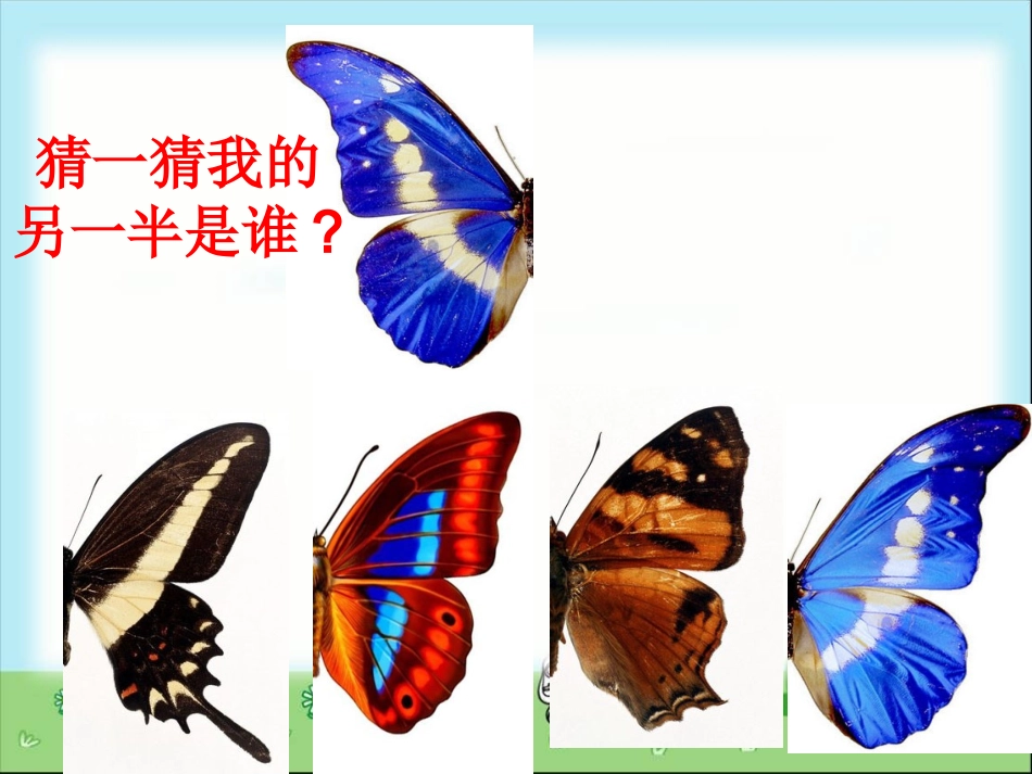 《轴对称图形》课件_第2页
