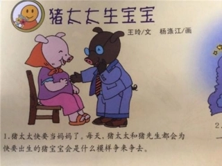 猪太太生宝宝