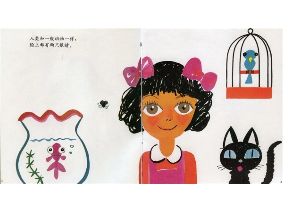 大班语言：眼睛的故事（朱杏春）_第3页