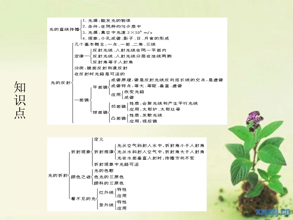 光现象复习用课件_第2页