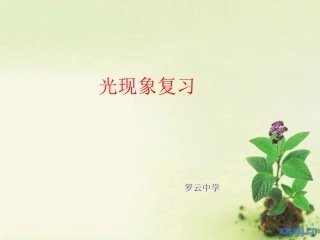 光现象复习用课件