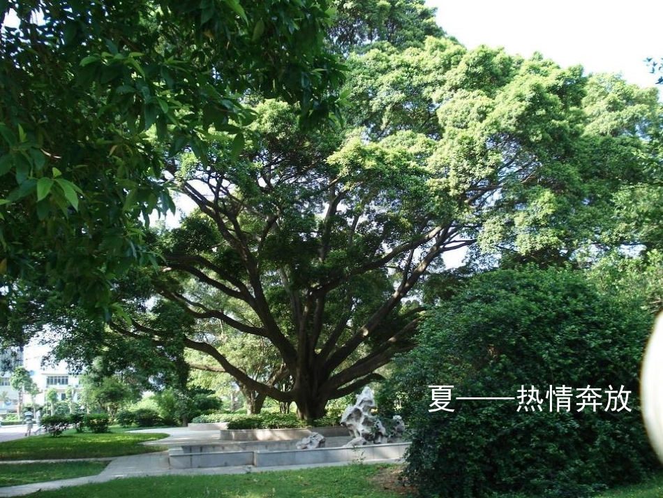 济南的冬天（四步）_第2页