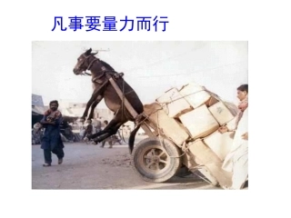 凡事要量力而行