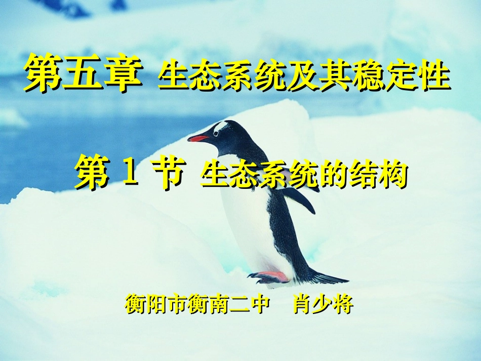 生态系统的结构课件（衡阳衡南二中肖少将）_第2页