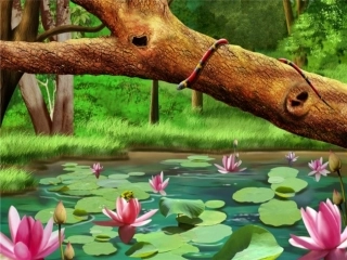 生态系统的结构课件（衡阳衡南二中肖少将）