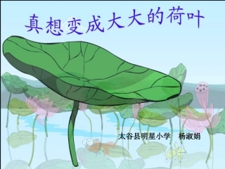 《真想变成大大的荷叶》课件