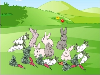 小学数学《倍的认识》