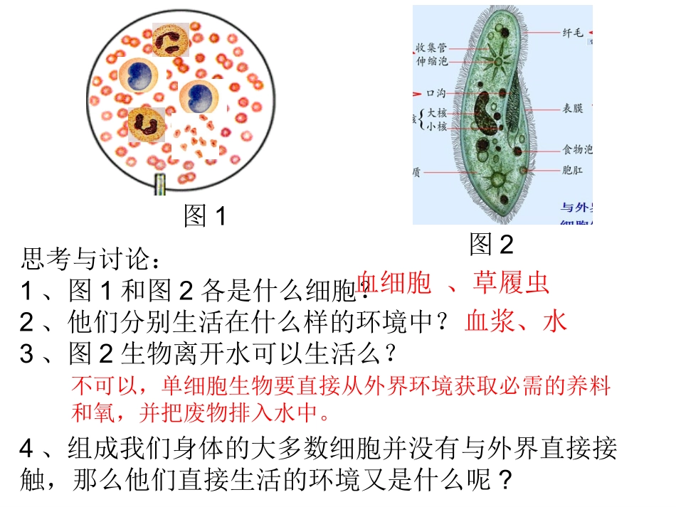 第一章第一节细胞生活的环境_第2页