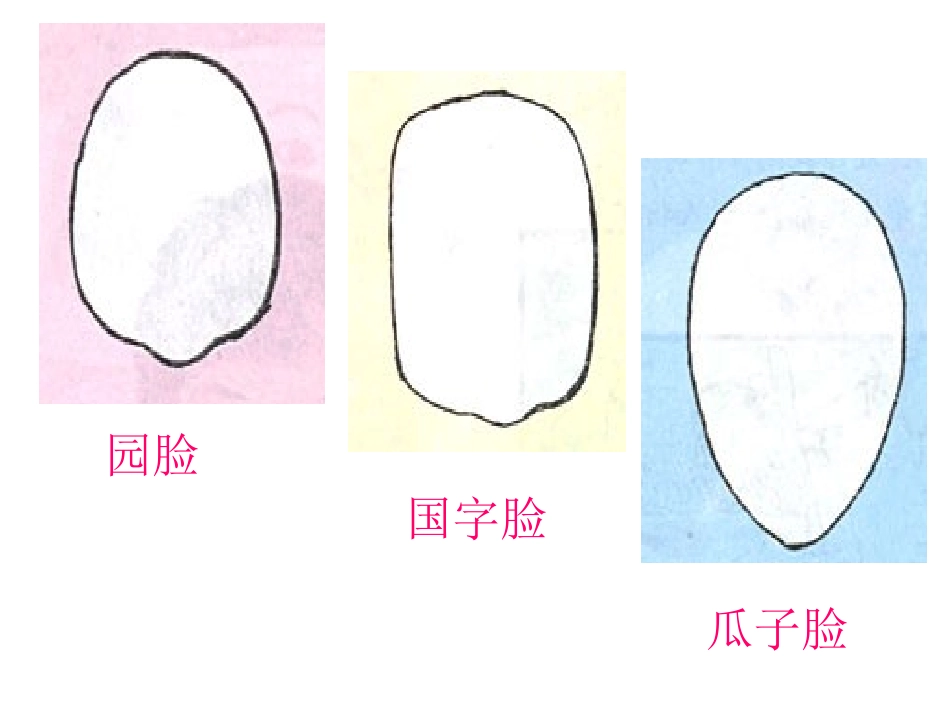 《自画像》PPT课件_第3页