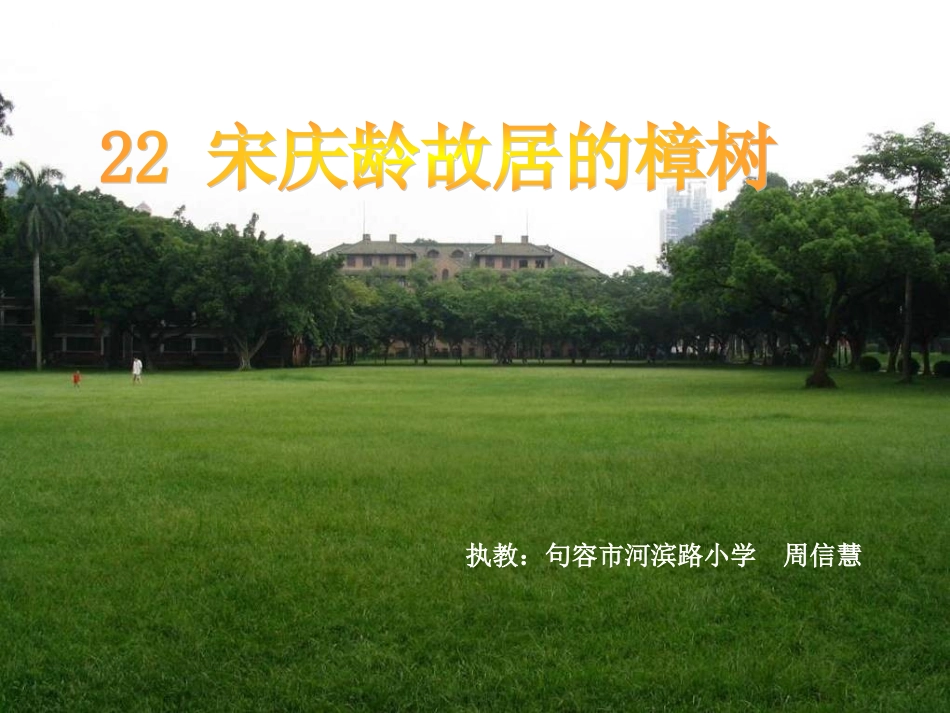 宋庆龄故居的樟树_第1页