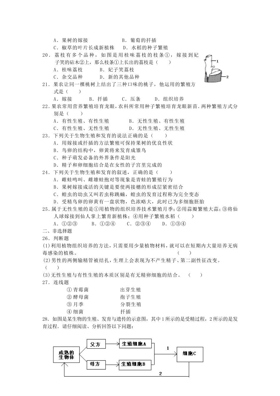 第十九章生物的生殖和发育检测题_第3页